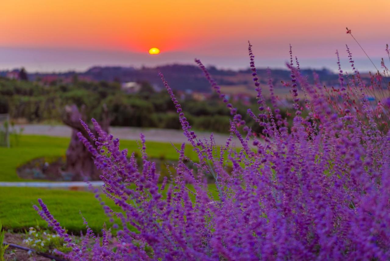 Mint Retreat Suites (Adults Only) Kalandra Buitenkant foto
